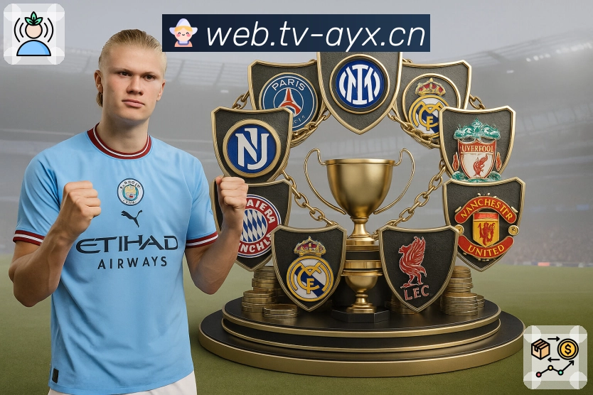 观赛行为与工具使用频率统计模块